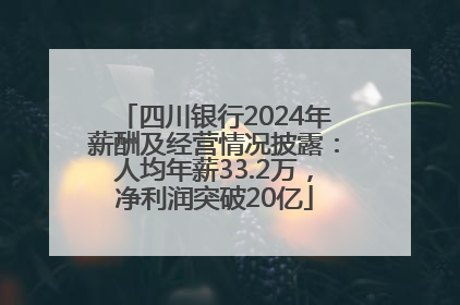 四川银行2024年薪酬及经营情况披露：人均年薪33.2万，净利润突破20亿