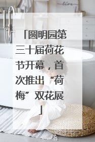圆明园第三十届荷花节开幕，首次推出“荷梅”双花展