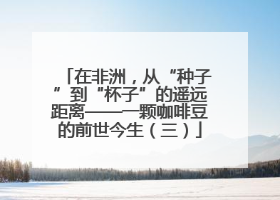 在非洲，从“种子”到“杯子”的遥远距离——一颗咖啡豆的前世今生（三）