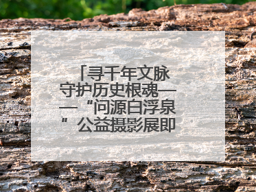 寻千年文脉 守护历史根魂——“问源白浮泉”公益摄影展即将落下帷幕