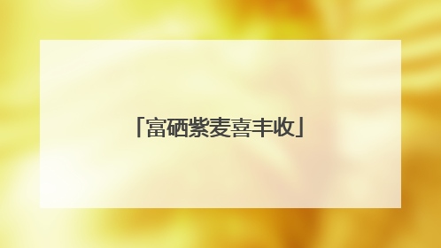 富硒紫麦喜丰收