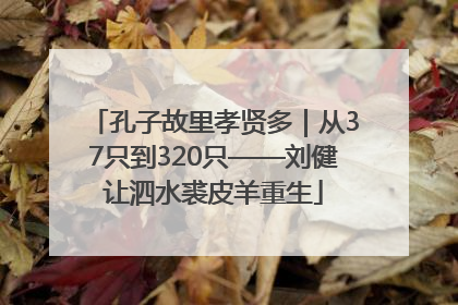 孔子故里孝贤多｜从37只到320只——刘健让泗水裘皮羊重生
