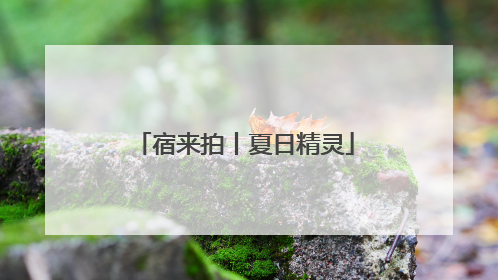 宿来拍丨夏日精灵