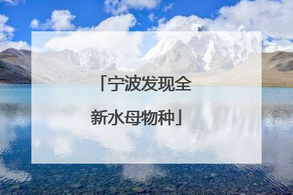 宁波发现全新水母物种