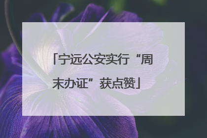 宁远公安实行“周末办证”获点赞
