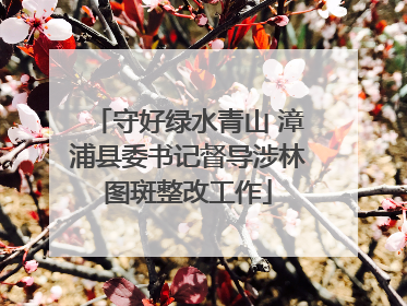 守好绿水青山 漳浦县委书记督导涉林图斑整改工作