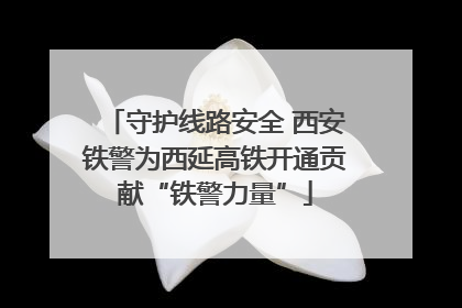 守护线路安全 西安铁警为西延高铁开通贡献“铁警力量”