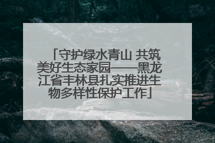 守护绿水青山 共筑美好生态家园——黑龙江省丰林县扎实推进生物多样性保护工作