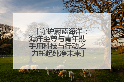 守护蔚蓝海洋：海洋至尊与青年携手用科技与行动之力托起纯净未来