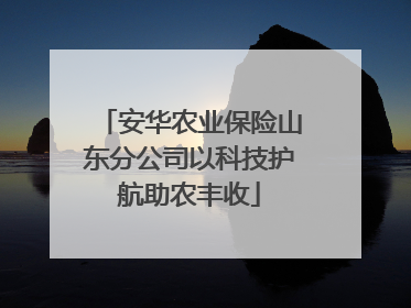 安华农业保险山东分公司以科技护航助农丰收