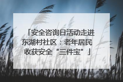 安全咨询日活动走进东湖村社区：老年居民收获安全“三件宝”