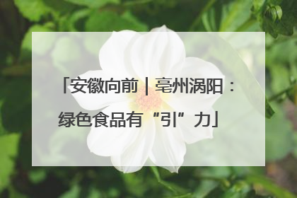 安徽向前｜亳州涡阳：绿色食品有“引”力