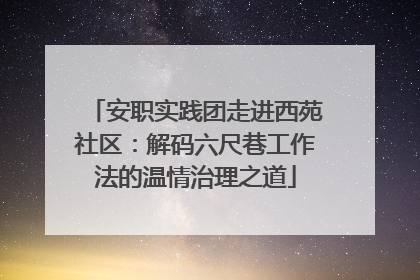 安职实践团走进西苑社区：解码六尺巷工作法的温情治理之道