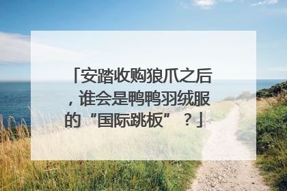 安踏收购狼爪之后，谁会是鸭鸭羽绒服的“国际跳板”？