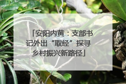安阳内黄：支部书记外出“取经”探寻乡村振兴新路径