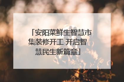 安阳菜鲜生智慧市集装修开工 开启智慧民生新篇章