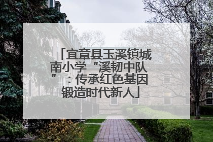 宜章县玉溪镇城南小学“溪韧中队”：传承红色基因 锻造时代新人
