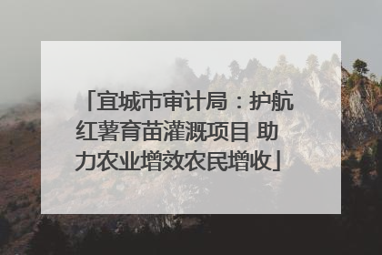 宜城市审计局：护航红薯育苗灌溉项目 助力农业增效农民增收