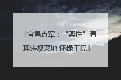 宜昌点军：“柔性”清理违规菜地 还绿于民
