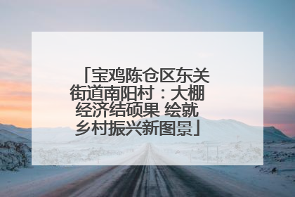 宝鸡陈仓区东关街道南阳村：大棚经济结硕果 绘就乡村振兴新图景