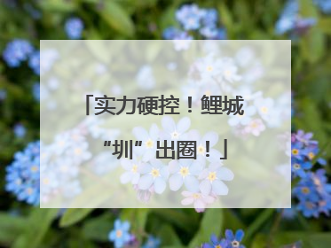 实力硬控！鲤城“圳”出圈！