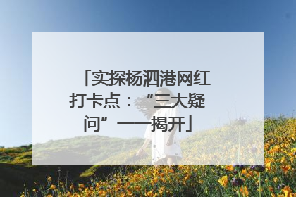 实探杨泗港网红打卡点：“三大疑问”一一揭开