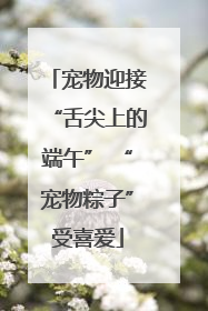 宠物迎接“舌尖上的端午” “宠物粽子”受喜爱
