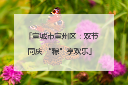 宣城市宣州区：双节同庆 “粽”享欢乐