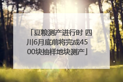 夏粮测产进行时 四川6月底前将完成4500块抽样地块测产