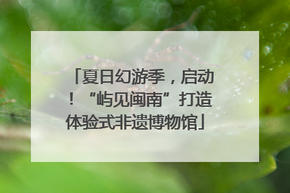夏日幻游季，启动！“屿见闽南”打造体验式非遗博物馆