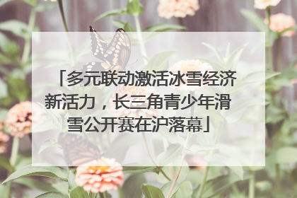 多元联动激活冰雪经济新活力，长三角青少年滑雪公开赛在沪落幕