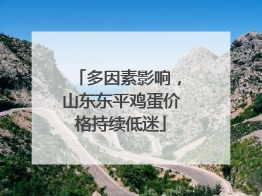 多因素影响，山东东平鸡蛋价格持续低迷