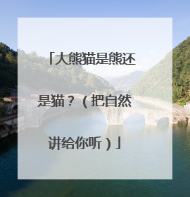 大熊猫是熊还是猫？（把自然讲给你听）