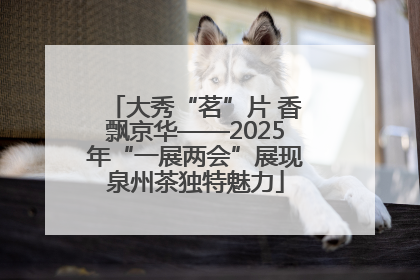 大秀“茗”片 香飘京华——2025年“一展两会”展现泉州茶独特魅力