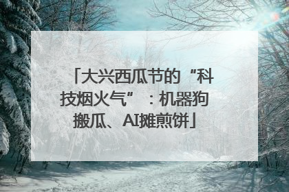 大兴西瓜节的“科技烟火气”：机器狗搬瓜、AI摊煎饼