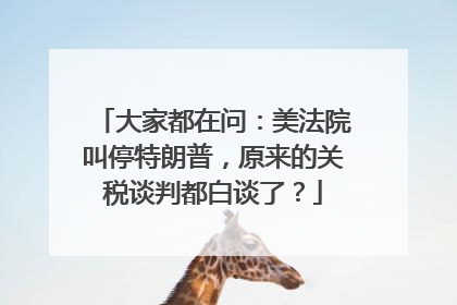 大家都在问：美法院叫停特朗普，原来的关税谈判都白谈了？