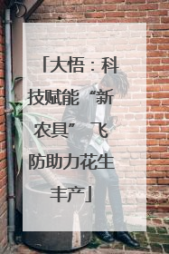 大悟：科技赋能“新农具” 飞防助力花生丰产