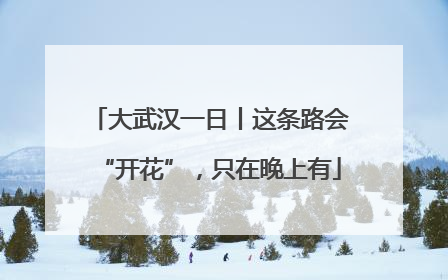 大武汉一日丨这条路会“开花”，只在晚上有