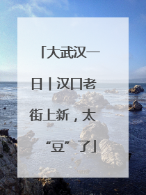 大武汉一日︱汉口老街上新，太“豆”了