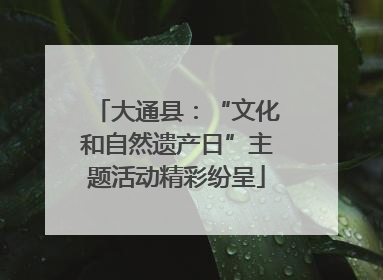 大通县：“文化和自然遗产日”主题活动精彩纷呈