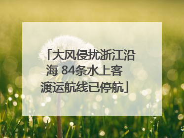 大风侵扰浙江沿海 84条水上客渡运航线已停航