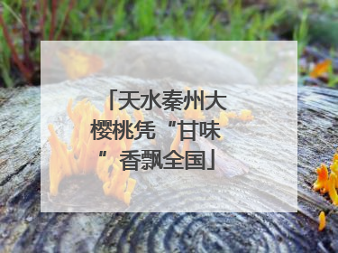 天水秦州大樱桃凭“甘味”香飘全国
