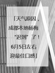 天气原因，成都本地杨梅“迟到”了！6月5日左右迎最佳口感