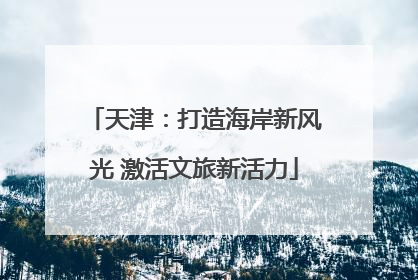 天津：打造海岸新风光 激活文旅新活力