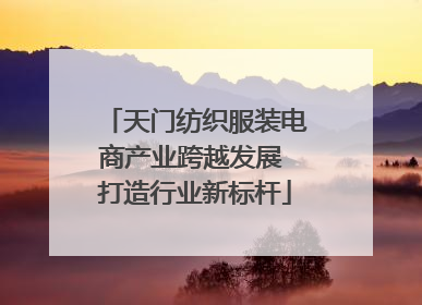 天门纺织服装电商产业跨越发展 打造行业新标杆