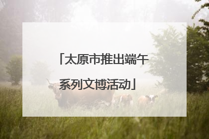 太原市推出端午系列文博活动