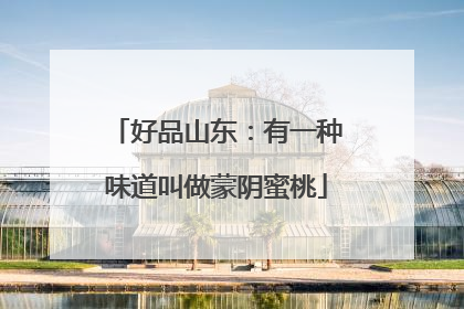 好品山东：有一种味道叫做蒙阴蜜桃
