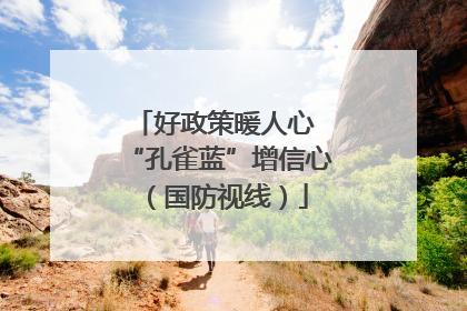 好政策暖人心 “孔雀蓝”增信心（国防视线）
