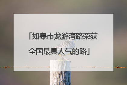 如皋市龙游湾路荣获全国最具人气的路