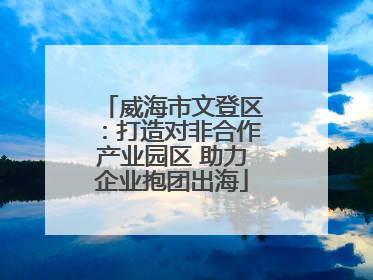 威海市文登区：打造对非合作产业园区 助力企业抱团出海